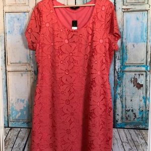 NWT Coral Lace Dress 🌸 Great for Easter